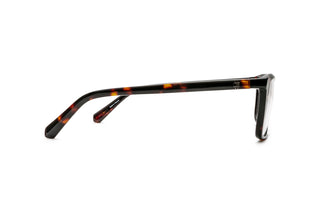 3400108440 Tortoise image-2