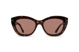 3520105870 Tortoise image-1