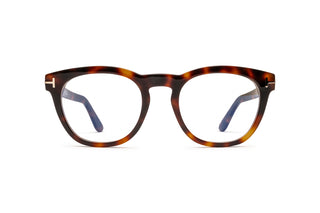 3520106190 Tortoise image-1