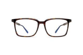 3520106200 Tortoise image-1