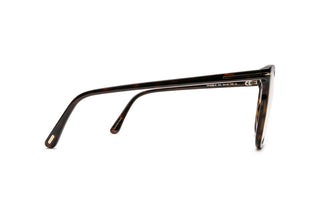 3520106220 Tortoise image-2