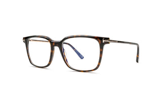 3520106650 Tortoise image-3