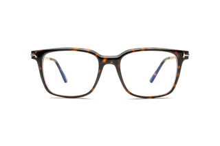 3520106650 Tortoise image-1