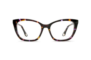 3640102820 Tortoise image-1