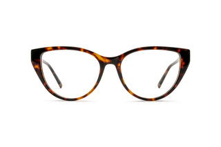 3640102840 Tortoise image-1