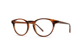 3640103040 Tortoise image-3