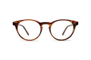 3640103040 Tortoise image-1