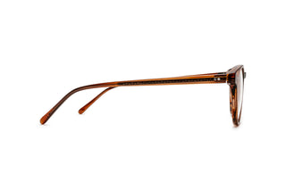 3640103040 Tortoise image-2