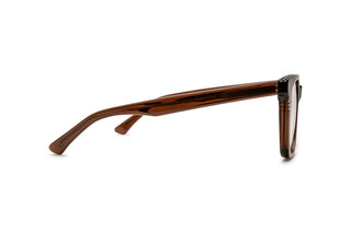 3640103080 Tortoise image-2