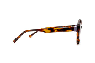 3640103100 Tortoise image-2