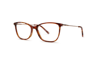 3640103130 Brown image-3