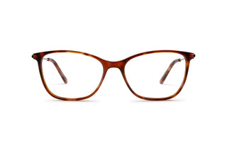 3640103130 Brown image-1