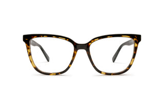 3640103150 Tortoise image-1