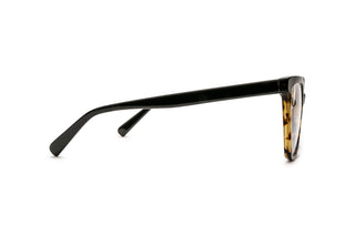 3640103150 Tortoise image-2