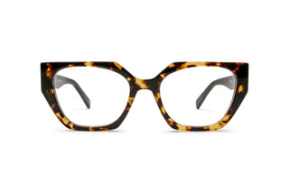 3640103170 Tortoise image-1