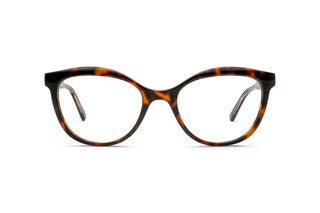 3640103200 Tortoise image-1