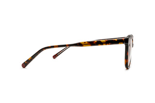 3640103200 Tortoise image-2