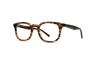 3790102900 Tortoise image-3