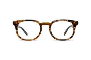 3790102900 Tortoise image-1