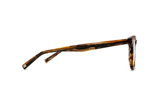 3790102900 Tortoise image-2