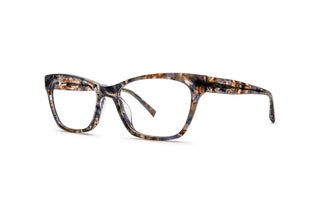 3790103430 Tortoise image-3