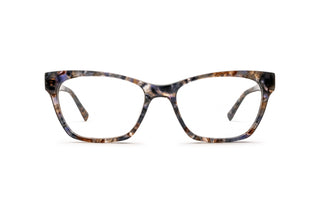 3790103430 Tortoise image-1