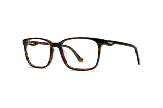 3900301140 Tortoise image-3