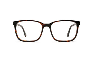 3900301140 Tortoise image-1