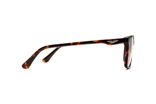3900301140 Tortoise image-2