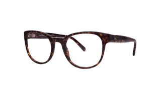 4300100130 Tortoise image-3