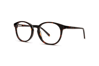 4490300100 Tortoise image-3