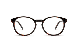 4490300100 Tortoise image-1