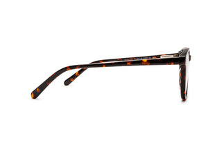 4490300100 Tortoise image-2