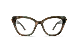 4760100610 Tortoise image-1
