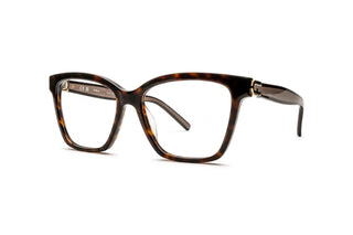 4760100630 Tortoise image-3