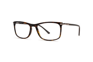 5430101440 Tortoise image-3