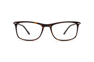 5430101440 Tortoise image-1