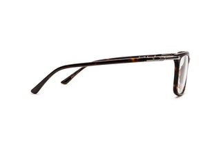 5430101440 Tortoise image-2