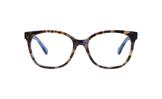 6500104830 Tortoise/Blue image-1