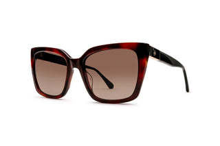 6500110710 Tortoise/Black image-3