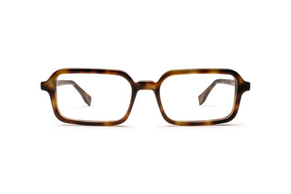 7000586100 Tortoise image-1