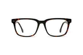 7110102470 Tortoise image-1