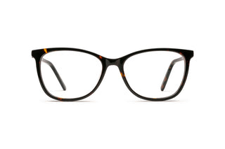 7110102650 Tortoise image-1