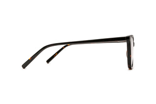 7110102650 Tortoise image-2