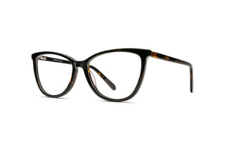 7110102680 Tortoise image-3