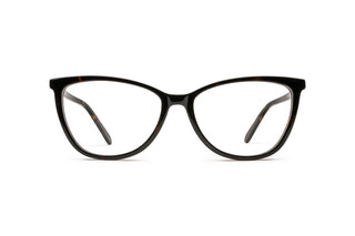 7110102680 Tortoise image-1