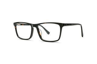 7110103080 Tortoise image-3