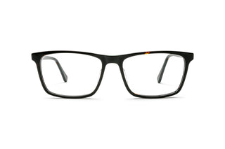 7110103080 Tortoise image-1