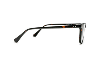 7110103080 Tortoise image-2