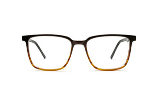 7110103130 Tortoise image-1